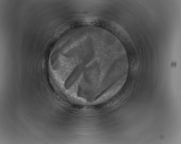 X0000094460270200712061230