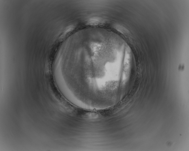 X0000094460272200712061230