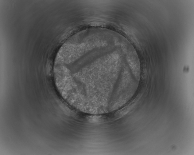 X0000094460273200712061230