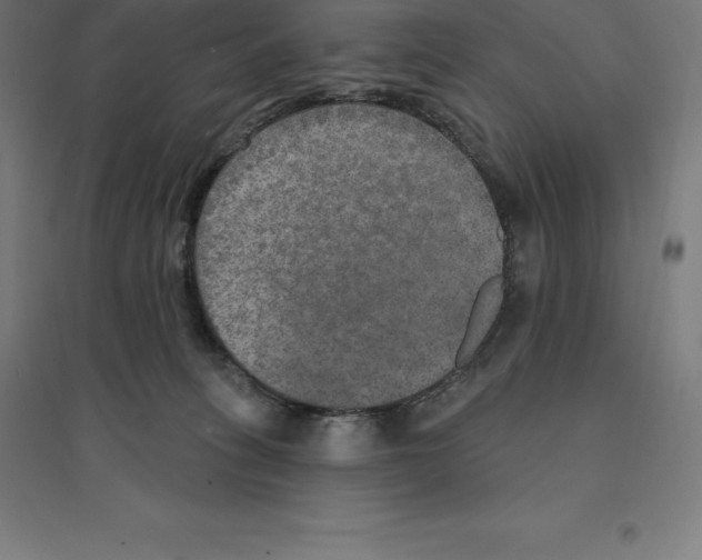 X0000094460275200712061230