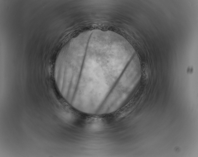 X0000094460276200712061230