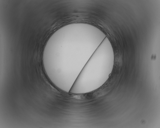 X0000094460277200712061230