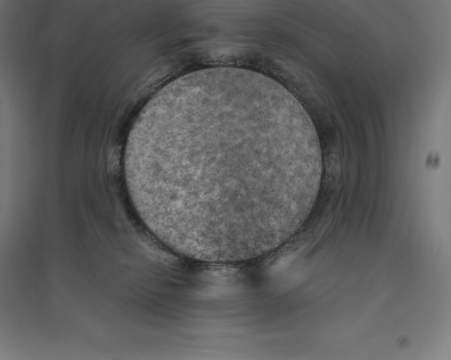 X0000094460278200712061230