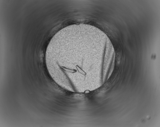 X0000094460279200712061230