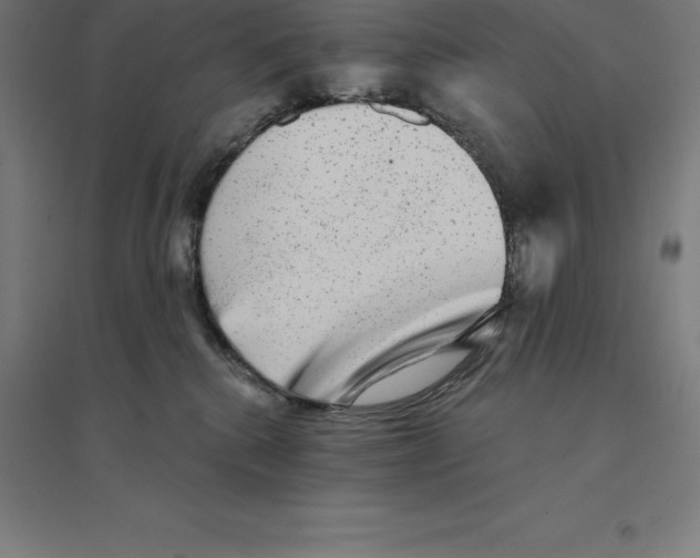 X0000094460280200712061230