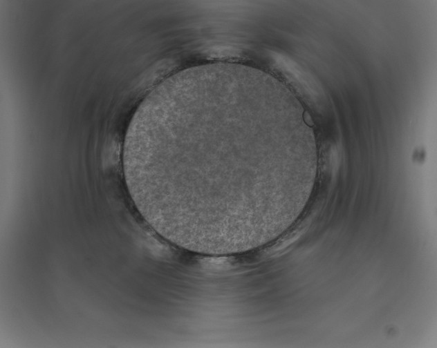 X0000094460281200712061230