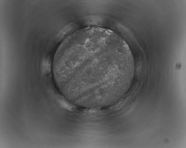 X0000094460282200712061230