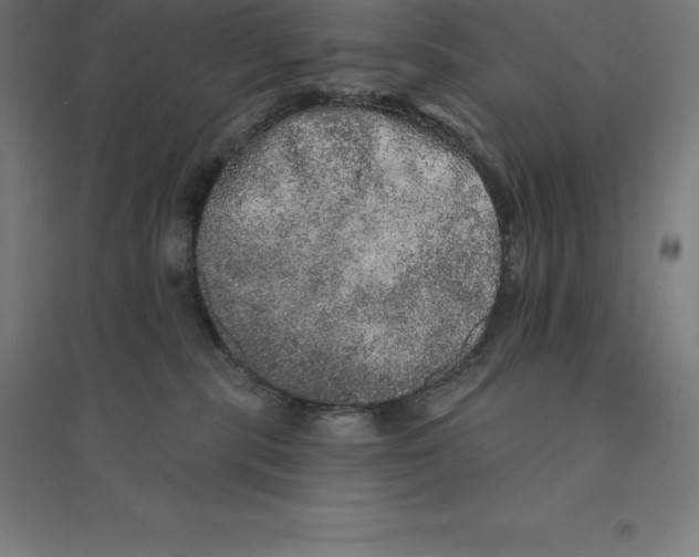 X0000094460283200712061230