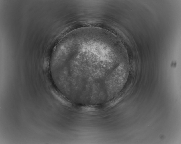 X0000094460284200712061230