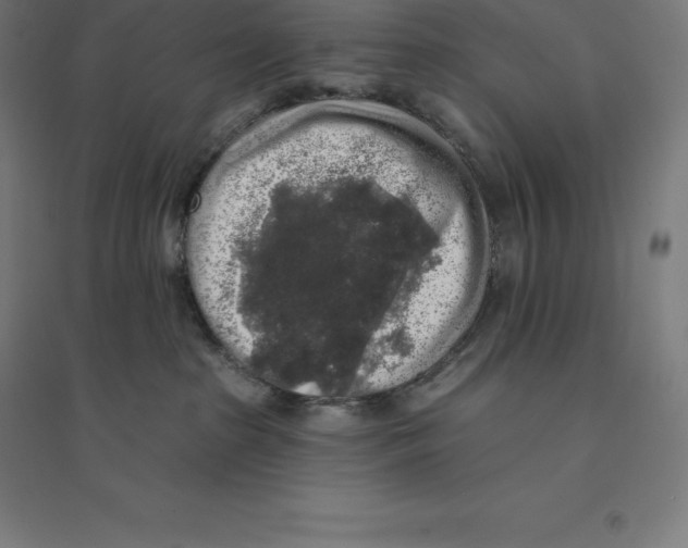 X0000094460285200712061230