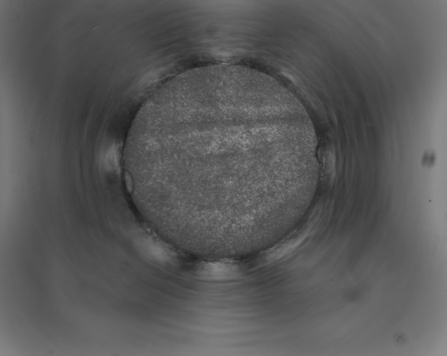 X0000094460286200712061230