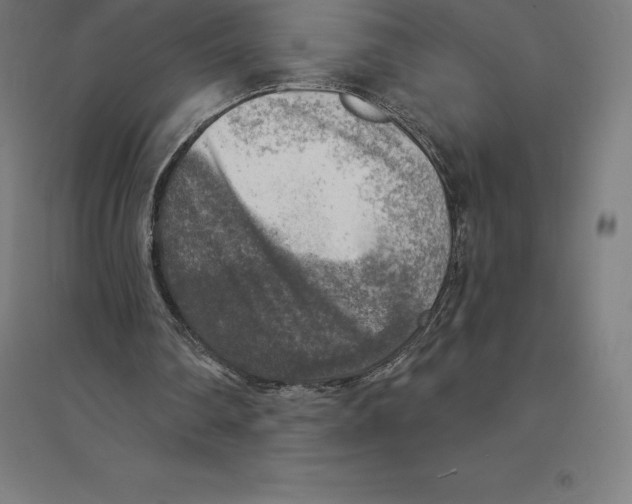 X0000094460290200712061229