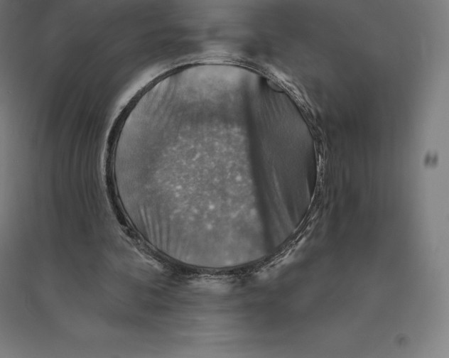 X0000094460292200712061229