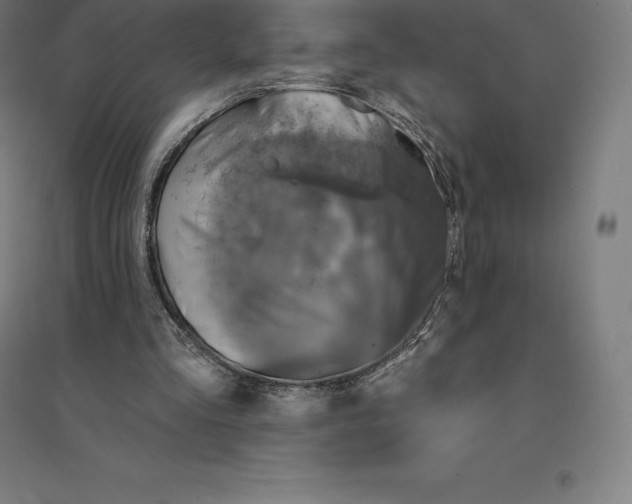 X0000094460293200712061229