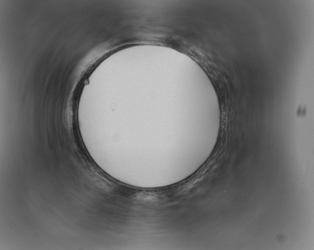 X0000094460294200712061229