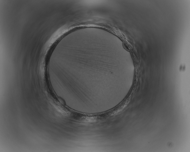 X0000094460295200712061229