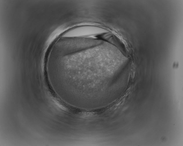 X0000094460296200712061229