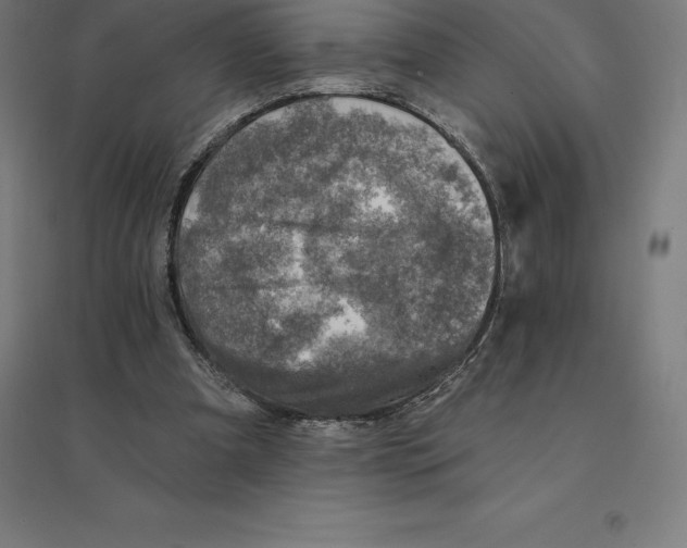 X0000094460297200712061229