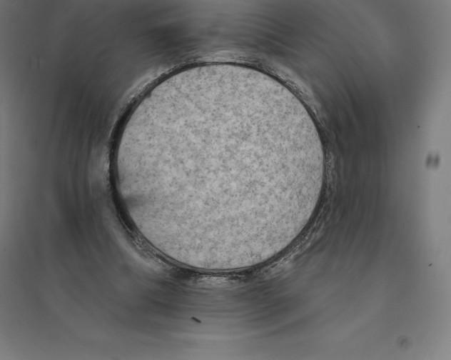 X0000094460298200712061229