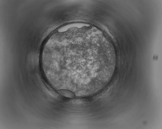 X0000094460299200712061229