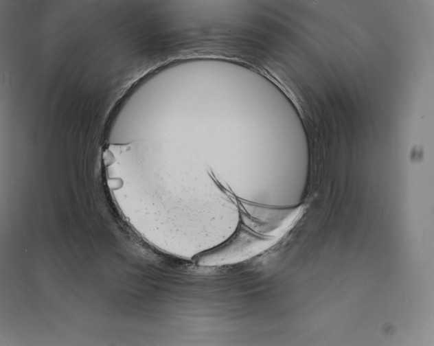 X0000094460301200712061229