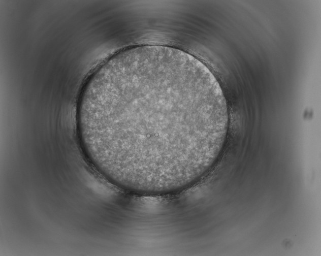 X0000094460302200712061229