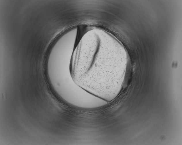 X0000094460304200712061229