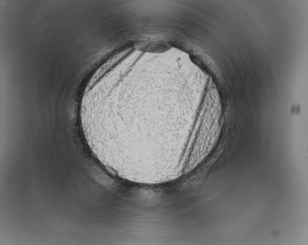 X0000094460305200712061229