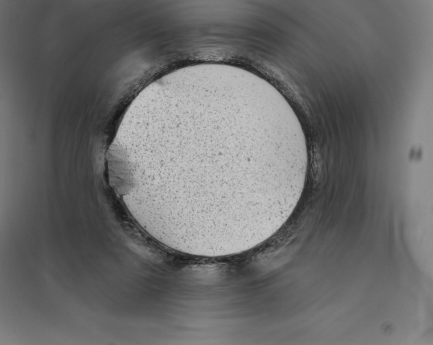 X0000094460307200712061229