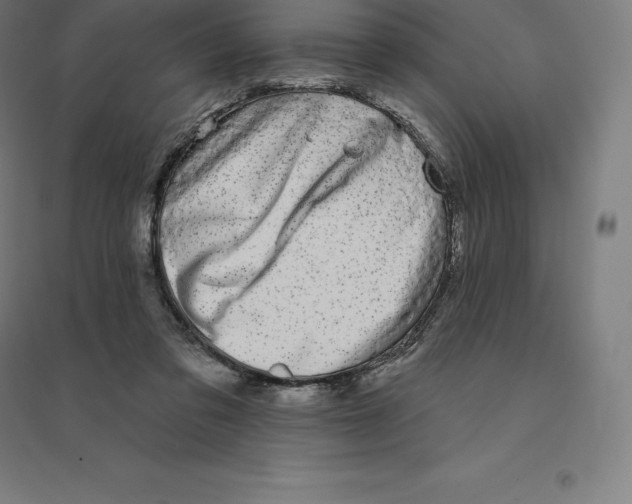 X0000094460309200712061229