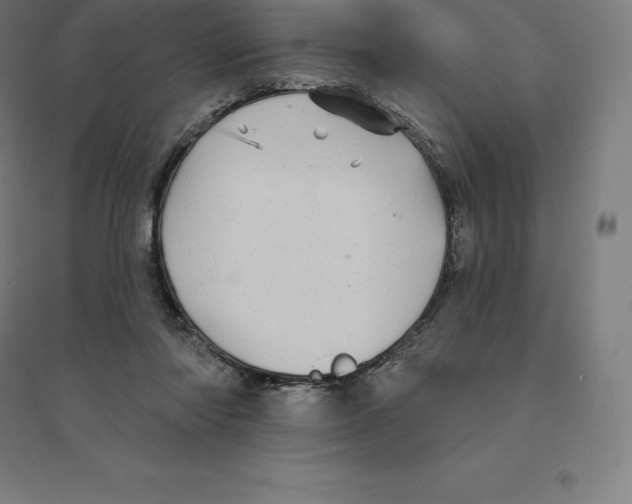 X0000094460310200712061229