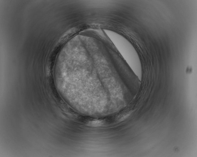 X0000094460312200712061229