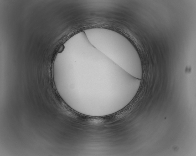 X0000094460313200712061229