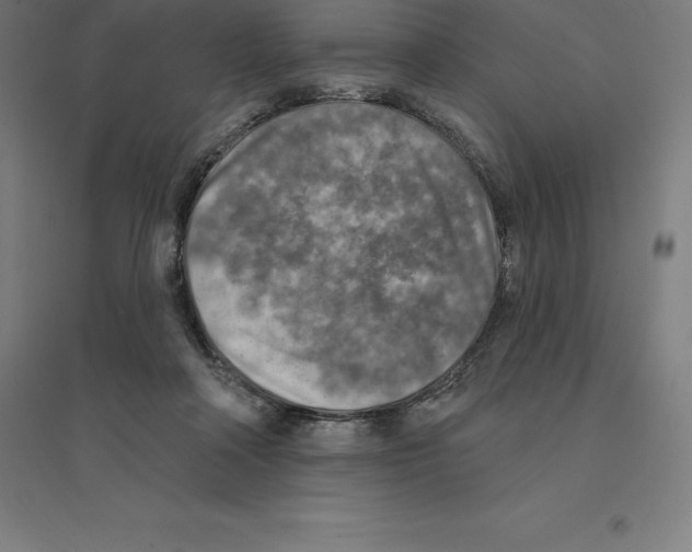 X0000094460314200712061229