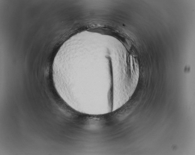 X0000094460315200712061229