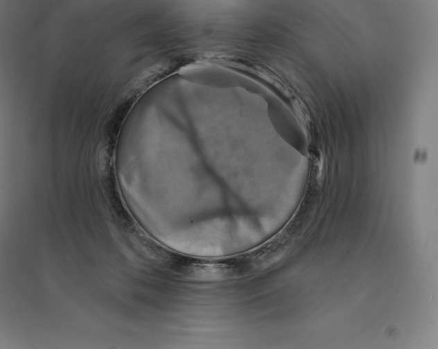 X0000094460316200712061229