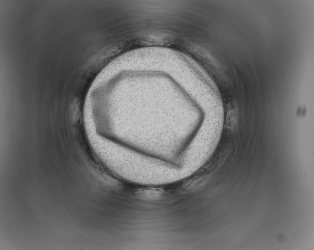 X0000094460318200712061229