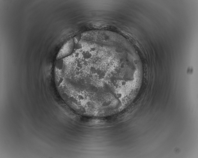 X0000094460319200712061229