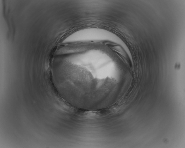 X0000094460320200712061229