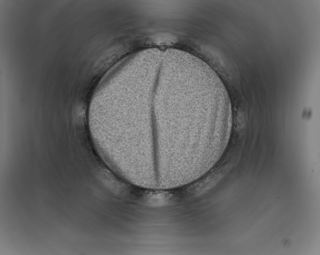 X0000094460321200712061229