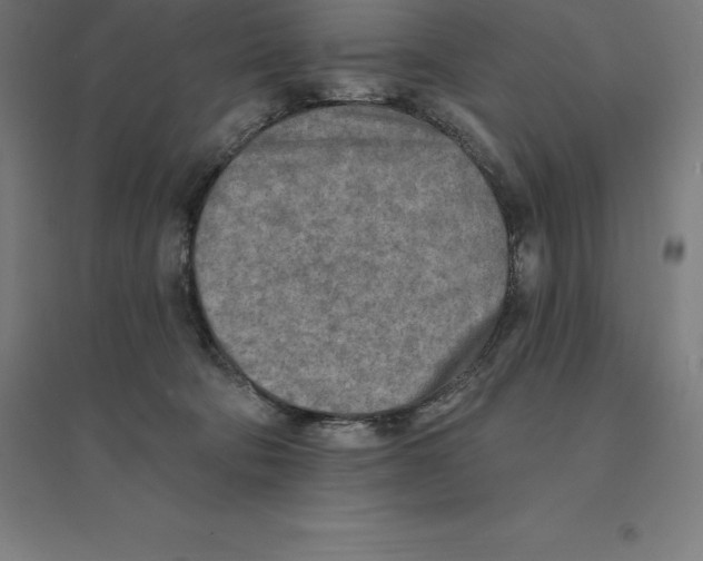 X0000094460322200712061229