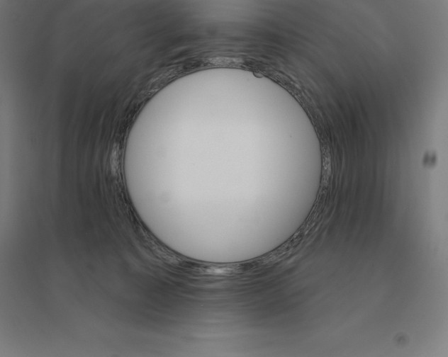 X0000094460323200712061229