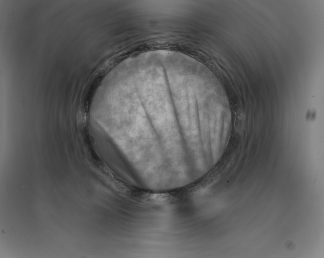 X0000094460324200712061229