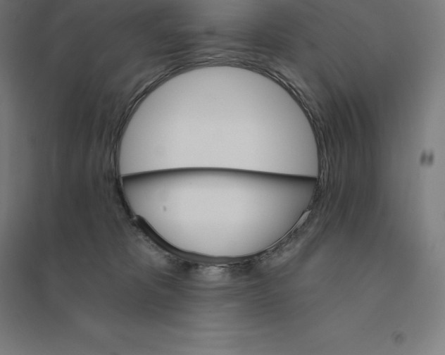 X0000094460325200712061229