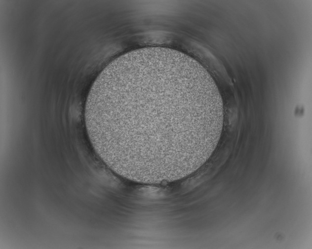 X0000094460326200712061229