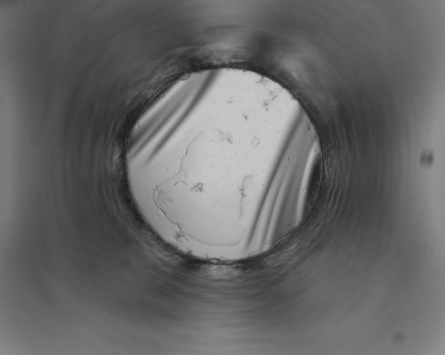 X0000094460327200712061229