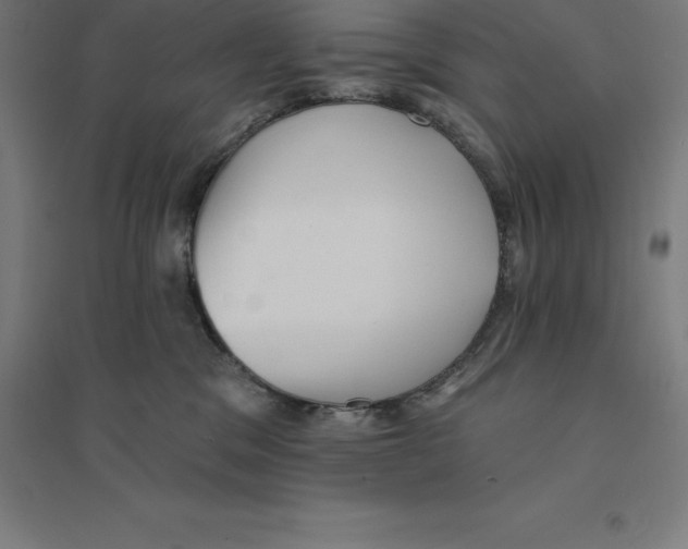 X0000094460329200712061229