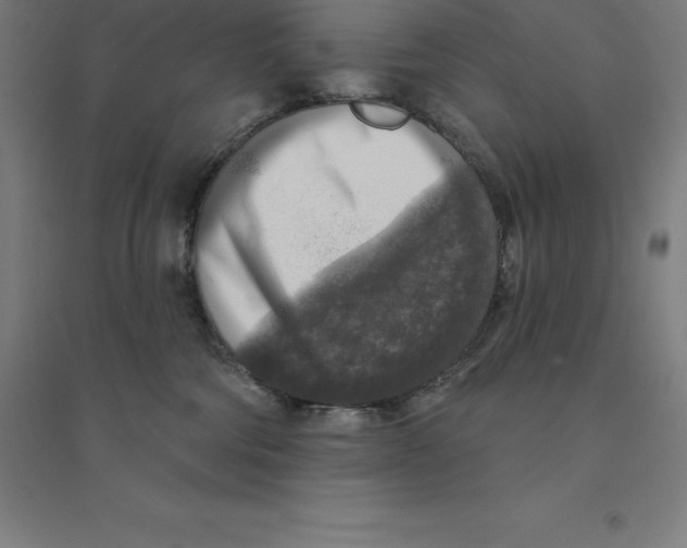 X0000094460330200712061229