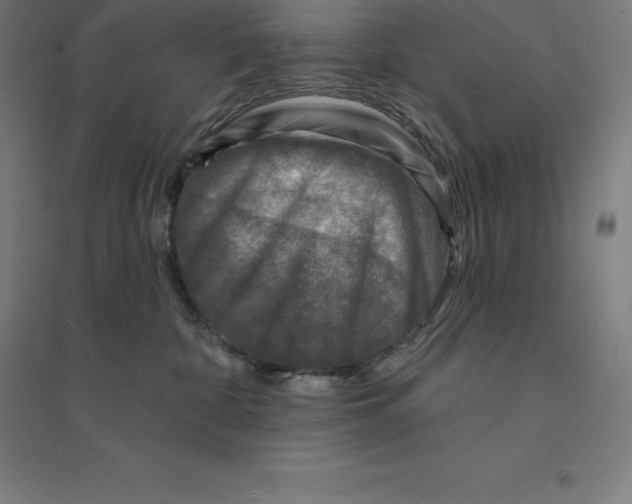 X0000094460332200712061229