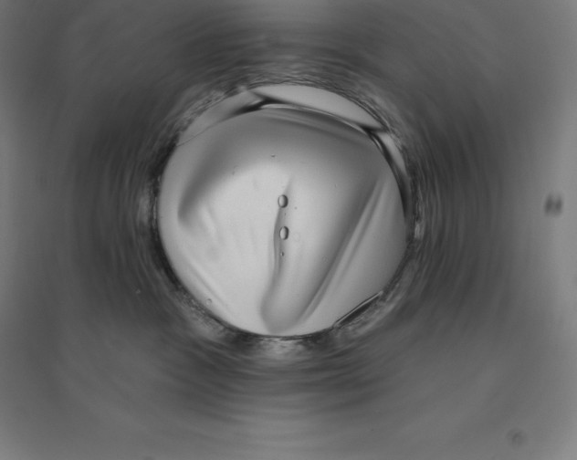 X0000094460333200712061229